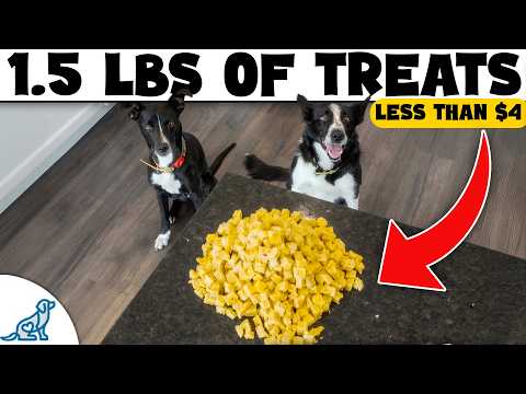 Don’t Waste Money on Dog Treats Until You Try THESE thumbnail