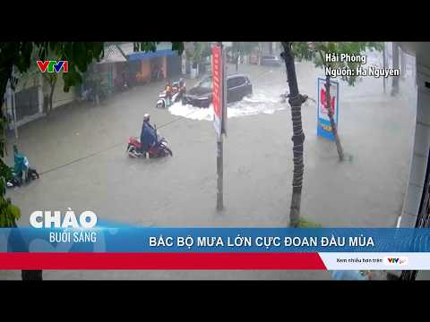 Bắc Bộ mưa lớn cực đoan đầu mùa gây ngập lụt, sạt lở tại Cao Bằng, Quảng Ninh và Hải Phòng | VTV24 thumbnail