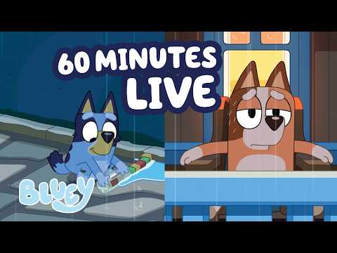 🔴 LIVE: Will Bluey be Able to Build a Dam? 🌧️ 💙 | 60 MINUTES of Adventurous Clips! 💫 | Bluey thumbnail