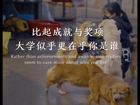 Sara Wu's journey to Cornell thumbnail