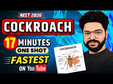 Fastest On YouTube?| COCKROACH in 17 Min☠️ | Neet 2026 FINAL REVISION thumbnail
