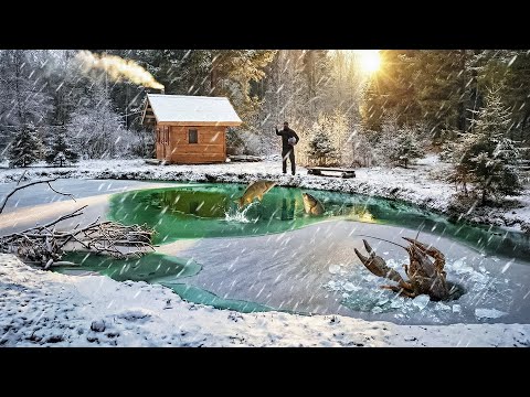 ВОТ ЧТО СЛУЧИЛОСЬ С ПРУДОМ В ЛЕСУ ЗА ШЕСТЬ МЕСЯЦЕВ! СВОЙ ВОДОЕМ С РАКАМИ и РЫБОЙ | ТАЕЖНЫЙ ДВОР thumbnail