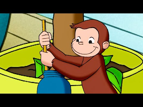 ¡A alimentar las plantas! | Jorge El Curioso En Español thumbnail