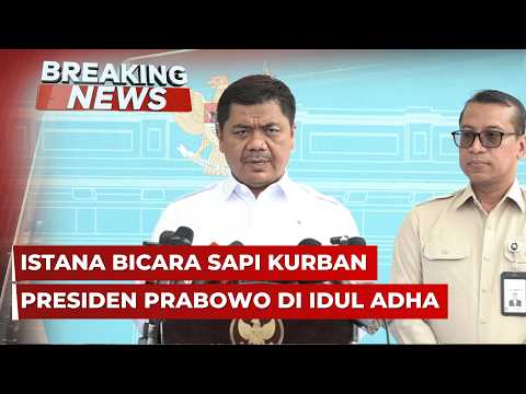 ?LIVE - Konpers Wamensesneg soal Sapi Kurban Presiden Prabowo di Idul Adha 2026 thumbnail