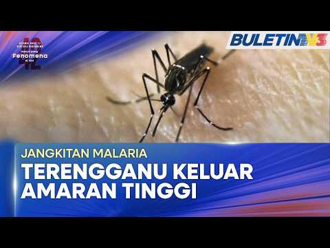 JANGKITAN MALARIA | Kes Dalam Kalangan Warga Rohingya Di Terengganu Meningkat thumbnail