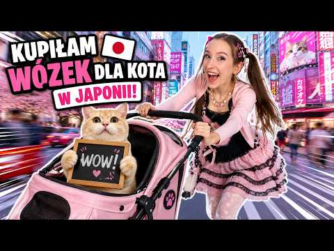 KUPIŁAM WÓZEK DLA MOJEGO KOTA!🐱 W JAPONII! thumbnail