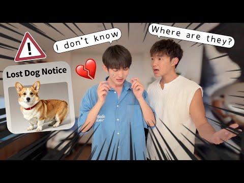 We Lost Our Puppy...💔 thumbnail