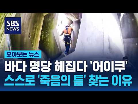 명당 헤집다 '어이쿠'..스스로 '죽음의 틈' 찾는 이유 / SBS / 모아보는 뉴스 thumbnail