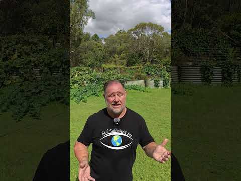 You Don't Control Your Garden You "Manage" it thumbnail