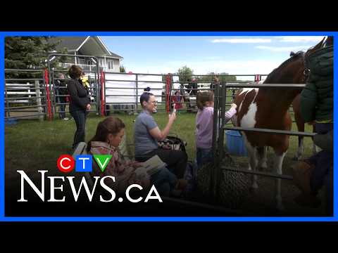 How horsepower helps to raise readers thumbnail