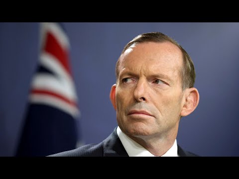 Paul Murray shreds leftie reporter over ‘most destructive’ Tony Abbott smear thumbnail