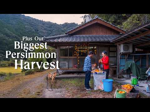 What Autumn Was Like This Year in the Japanese Countryside thumbnail