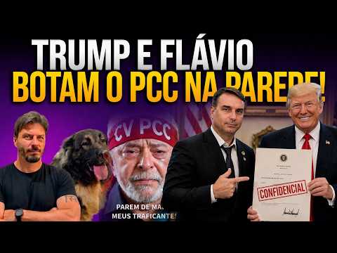 CANETADA DE TRUMP DESTRÓI NARRATIVA DO PT E LULA AMARELA! thumbnail