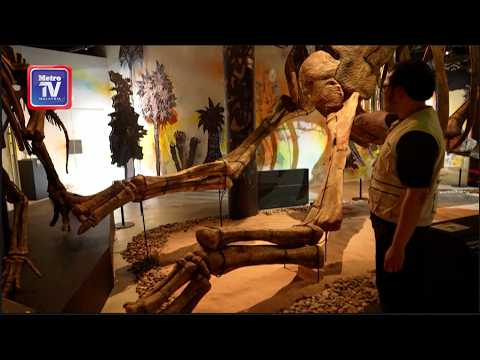 Nagatitan, dinosaur terbesar di Asia Tenggara thumbnail