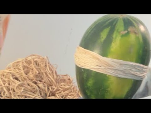 WATERMELON EXPLOSION!!!!! thumbnail