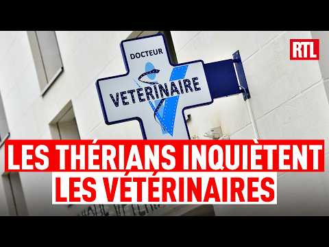 Ils vivent comme des animaux : le phénomène "Therian" débarque en France thumbnail