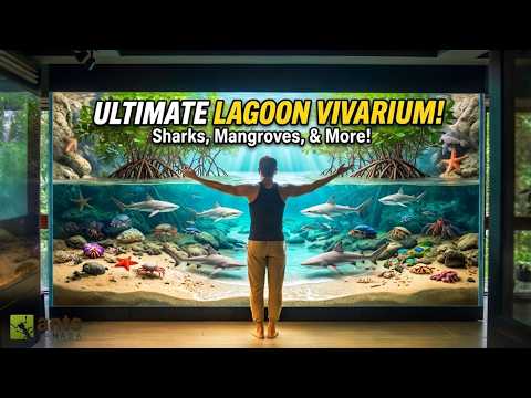 Building the Ultimate Lagoon Ecosystem Vivarium thumbnail