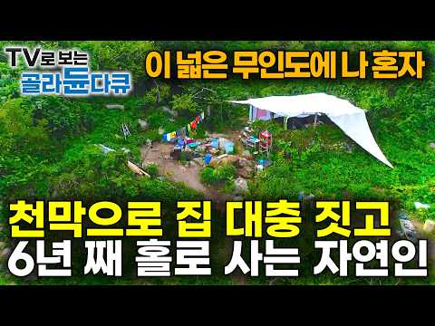 전기도 수도도 없는 무인도에 개 두마리 데리고 사는 유일 주민｜집도 천막으로 대충 짓고 나홀로 자급자족 무인도 살이｜한국기행｜#골라듄다큐 thumbnail