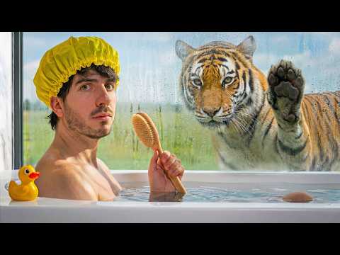 Fui a todos los hoteles de animales. thumbnail