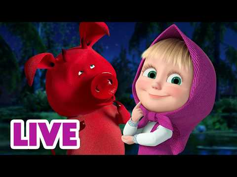 🔴 EN VIVO TV 📺 Masha y el Oso Castellano 🌍🚀 MI tipo de aventura 🏕️🎒 Masha and the Bear thumbnail