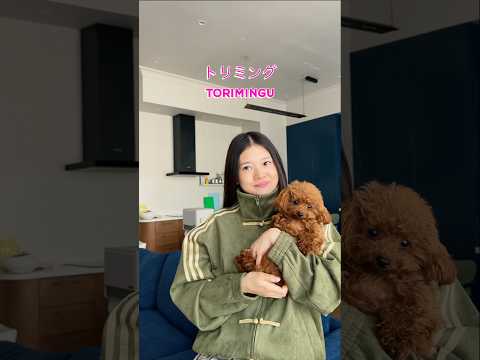 #kikakim thumbnail