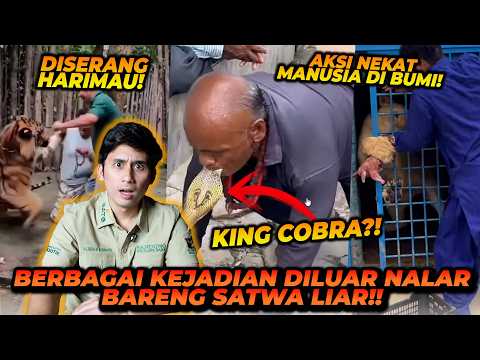 REAKSI ALSHAD MELIHAT ORANG2 NGAWUR TENTANG SATWA LIAR! APA TANGGAPAN ALSHAD AHMAD?? thumbnail