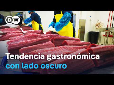 La fiebre del sushi - antojos y extinción de especies | DW Documental thumbnail
