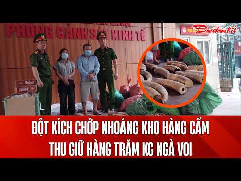 Bản tin 23/5: Công an Hà Nội đột kích đường dây hàng cấm khủng: Thu giữ 242kg ngà voi, thuốc lá lậu thumbnail
