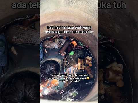 Terjumpa ular saiz anaconda dalam telaga.?? thumbnail