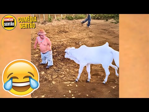 Vídeos ENGRAÇADOS 2024 - Tente Não Rir Memes thumbnail