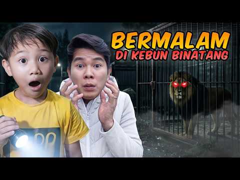 MALAM HARI DI KEBUN BINATANG thumbnail