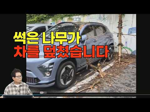 27159회. 주차해놓은 차 위로 썪은 나무가 부러져 떨어졌는데, 어디서 배상 받을수 있나요? thumbnail