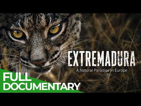 Extremadura: A Natural Paradise In Europe | Free Documentary Nature thumbnail