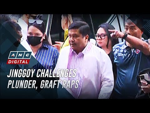 Jinggoy Estrada questions plunder, graft raps in omnibus motions thumbnail