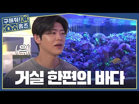 박지현도 감탄한 청정(?) 구역? 물멍의 끝판왕, 해수어, MBC 260521 방송 thumbnail