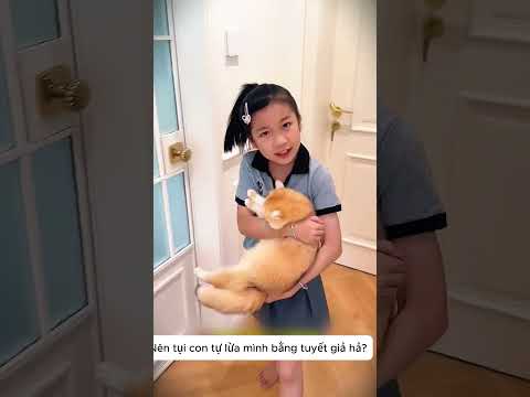 Mèo Ú Gọi Đại Ca Báo Thù Siêu Hài 😹👊 thumbnail