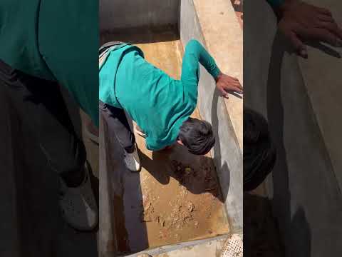 Arrangements were made for pure water for the animals. #help thumbnail