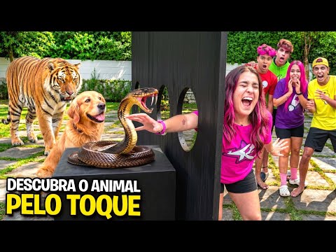 DESCUBRA O ANIMAL PELO TOQUE *Fomos picados ? thumbnail