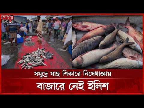 চাহিদার তুলনায় সরবরাহ কম, আকাশছোঁয়া মাছের দাম | Patuakhali Fish Market | Price Hike | Somoy TV thumbnail