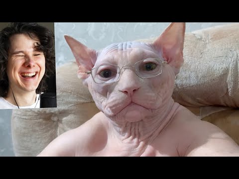 654 СЕКУНД СМЕХА thumbnail