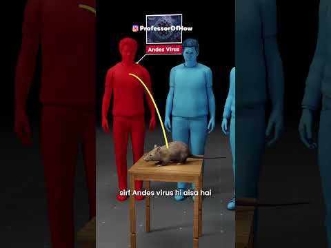 Hantavirus Explained (3D) by Professor Of How thumbnail