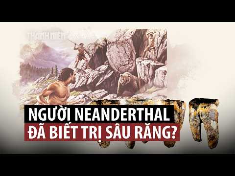 59.000 năm trước, người Neanderthal đã biết trị sâu răng? thumbnail
