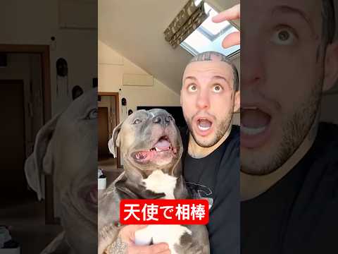 うつ病に取りつかれて・・・俺がついてるぜ thumbnail