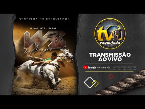 LEILÃO HARAS WS E AMIGOS 2025 thumbnail