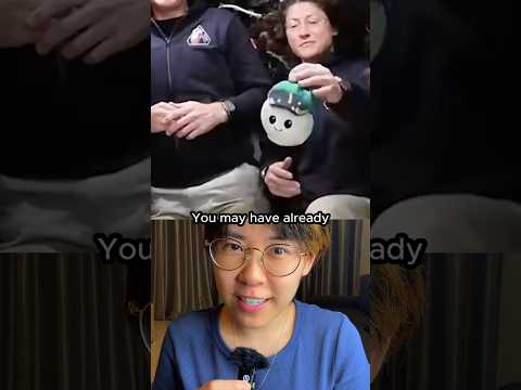 The Truth About the Artemis 2 Plush Toy #space #nasa thumbnail
