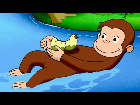 ¡Jorge salva a los pollitos! | Jorge El Curioso En Español thumbnail