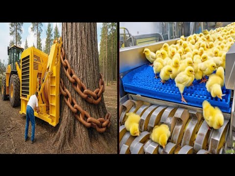 Most Insane Machines Used In Daily Life thumbnail