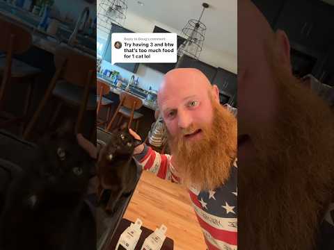 Try Having Three Cats - Ok I will thumbnail
