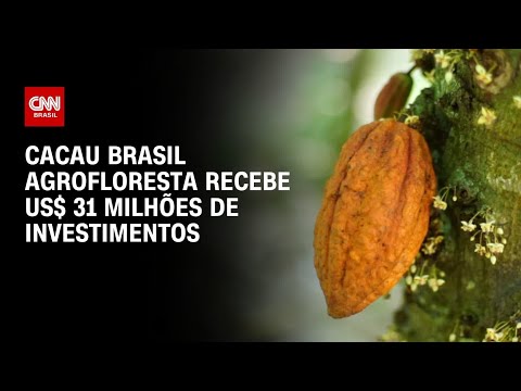 Cacau Brasil Agrofloresta recebe US$ 31 milhões de investimentos | CNN AGRO NEWS thumbnail