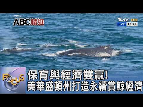 保育與經濟雙贏! 美華盛頓州打造永續賞鯨經濟｜FOCUS午間新聞 20260529 @TVBSNEWS01 thumbnail